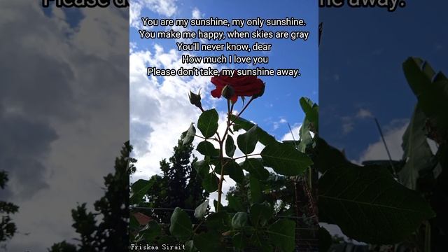 Jasmine Thompson ~ You Are My Sunshine (Lirik) смотреть онлайн
