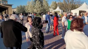 Ромашки белые... 20.04.25...