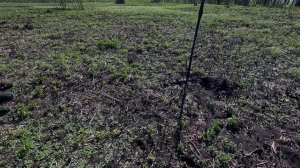 КОП МЕТАЛЛА 17 04 2025