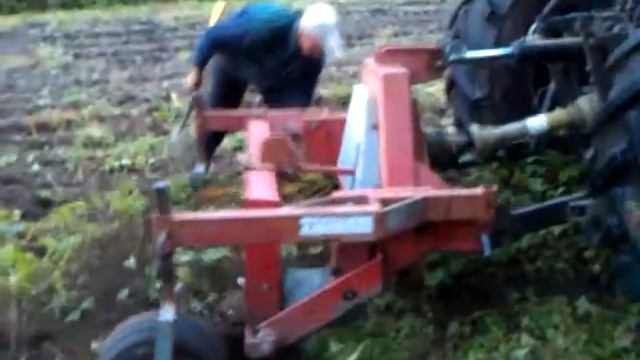 Как в Финляндии выкапуют молодую смородину..... смотреть онлайн