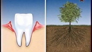 Реклама (Звезда, лето 2014). 3