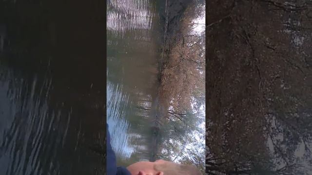 Рыбалка на Латорице в городе Чоп смотреть онлайн