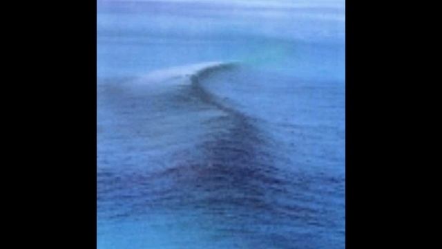 Ride-Polar Bear смотреть онлайн