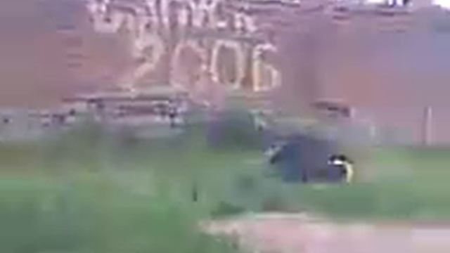 Опасный Павлоградский боец смотреть онлайн