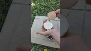 Груша Ред Сенсейшн