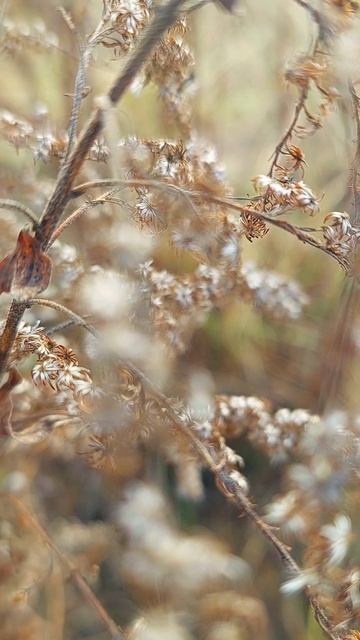 Когда тебе плохо — прислушайся к природе. Тишина мира успокаивает лучше, чем миллионы ненужных слов