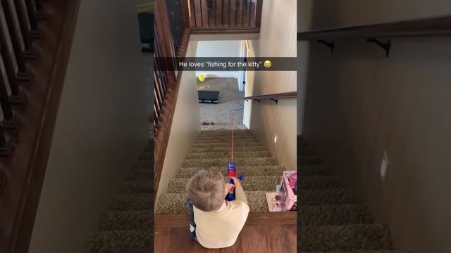 Смешные пушистики / Смешные моменты с животными 2024 /№79 смотреть онлайн