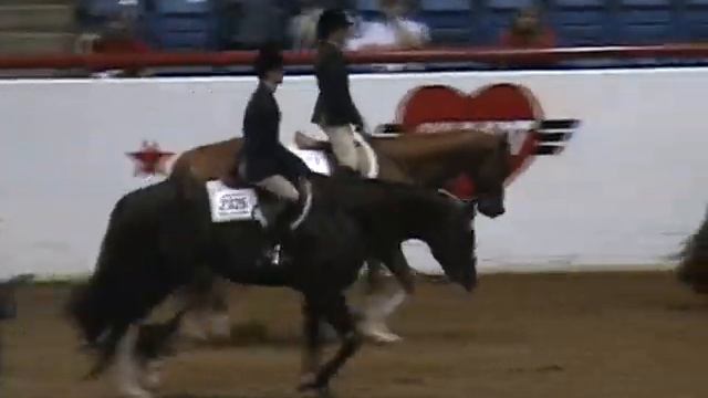 2008 APHA World Show 14-18 HUS pt. 2 смотреть онлайн