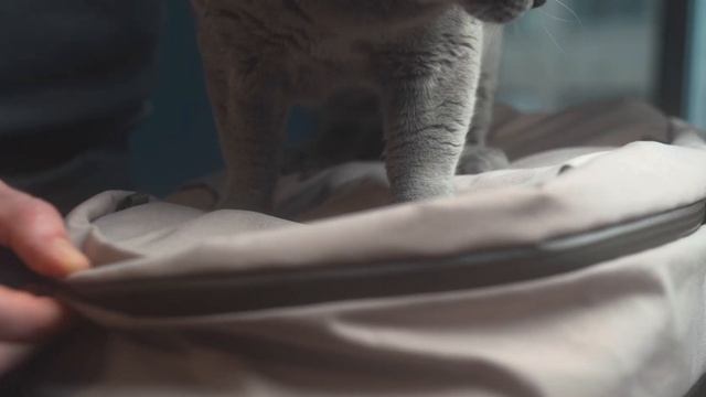 Boundary Supply Rennen | Eco-Friendly Daypack смотреть онлайн