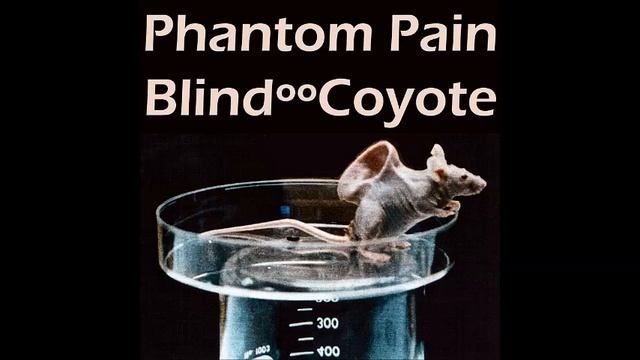 Blind Coyote - Genkaku No Itami Mix V 1