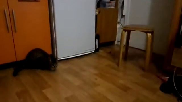 Айза на футболе. Смотреть видео. смотреть онлайн