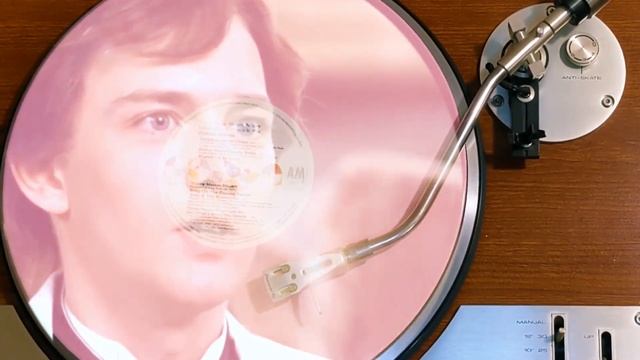 "Bring On The Dancing Horses" Echo & the Bunnymen • Pretty In Pink Soundtrack • Miss 80's #vinylrip смотреть онлайн