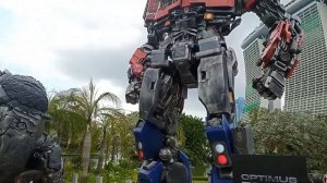 Giant Transformers and gorilla statue,!!