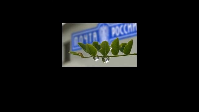 НА ПАМЯТЬ гр КРИСТИНА Corp