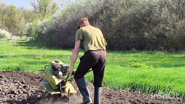 Весенние заботы