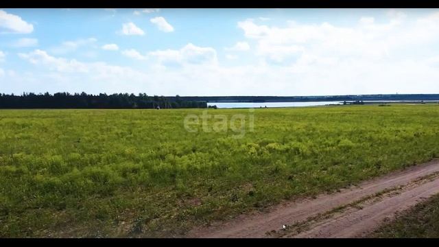 10397207 смотреть онлайн