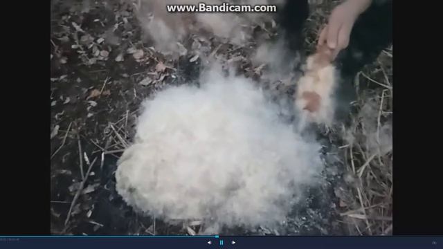 Поджигаю кучу распушённых камышей смотреть онлайн
