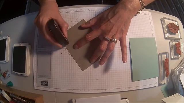 Super Quick And Easy Butterfly Basics