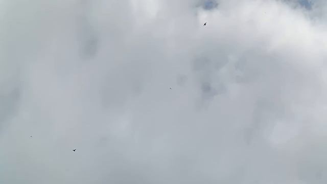 Бакинцы,утренний подъем. смотреть онлайн