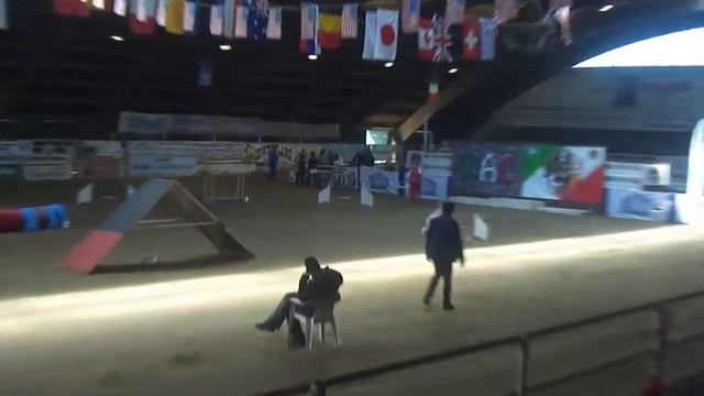 WAC 2015_Grishina - Belka смотреть онлайн