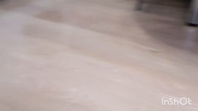 Наша кошечка! Один день из жизни кошки Синди! смотреть онлайн