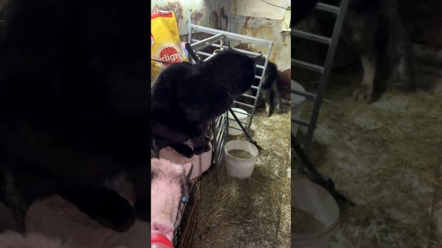 Соня и Няша 😁