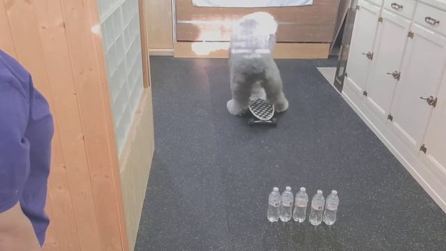 Blind Dog Games | Backwards Skateboard Bowling смотреть онлайн