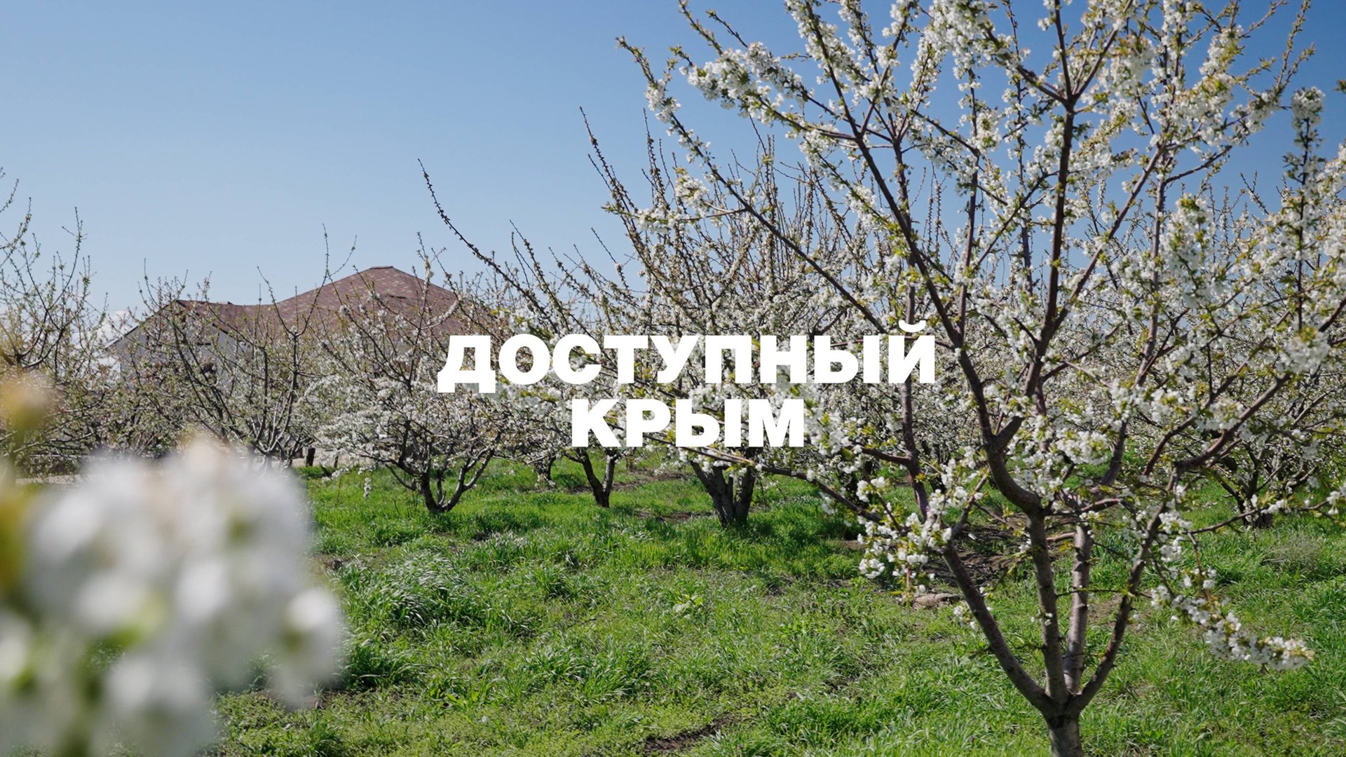 «Доступный Крым»