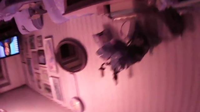 PICT0068 ПРОВОКАЦИЯ С ВЕЩАМИ И ВТОРОЙ ВЫХОД НА БАЛКОН ПО ПЕРВОМУ СНЕЖКУ смотреть онлайн