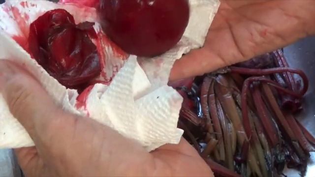 BEET PICKLE - HOW TO DO IT (OAG 2017)