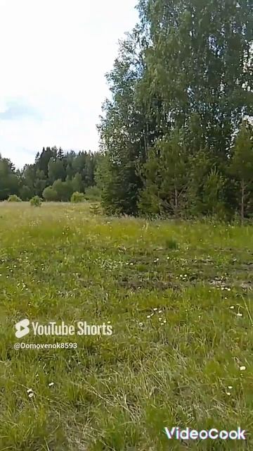 #тихаяохота#впоискахклада