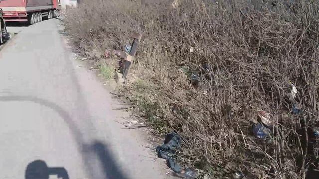 Питер не для туристов. Жить в Санкт-Петербурге) смотреть онлайн