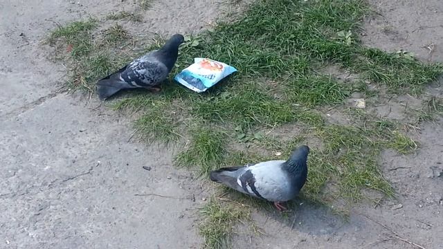 Реклама сухариків Флінт смотреть онлайн