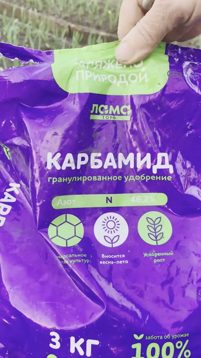 Лучшие удобрение для чеснока смотреть онлайн