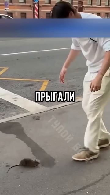 😧КРЫСИНЫЙ КОРОЛЬ УДИВИЛ ПРОХОЖИХ! смотреть онлайн
