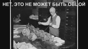 История бескультурья. Мэри Эннинг и ее доисторические монстры