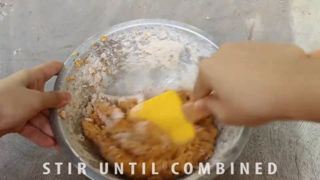 Pumpkin Carrot Muffins︱Homemade Dog Treat