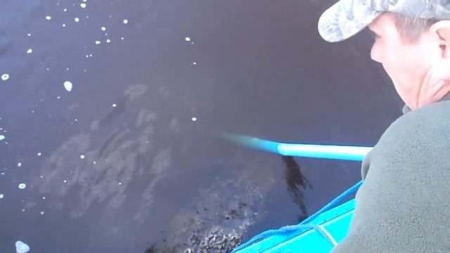 не давай слабину смотреть онлайн