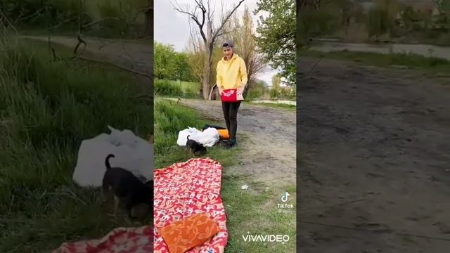 Самые смешные видео из Тикток #3 4 минуты смеха до слёз 😂 смотреть онлайн