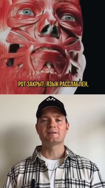 Настоящая причина АПНОЕ раскрыта смотреть онлайн