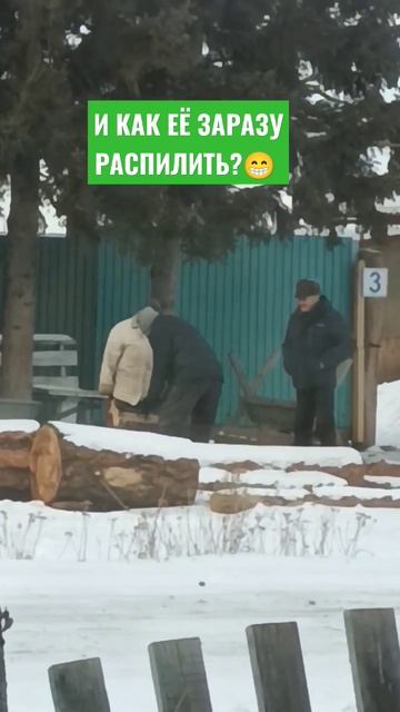 #прикол🤣 НАКУПИЛИ ДРОВИШЕК, ЕЛЫПАЛЫ!#россия #сибирь #хуторок #жизньвдеревне #shorts