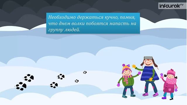 Обеспечение безопасности при встрече с дикими животными _ Классные часы и ОБЖ #61 _ Инфоурок