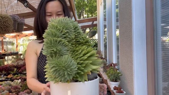 June 22, 2023 LELE BIRTHDAY 🥳 | LELE’s GARDEN TOUR смотреть онлайн