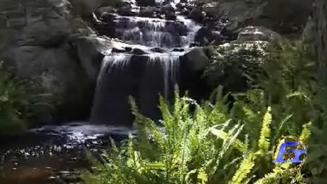 Придет же день Господень, как тать ночью !!! MAY 21,2011 смотреть онлайн