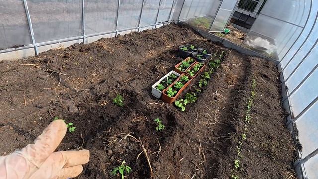 Что же я наделала ... смотреть онлайн