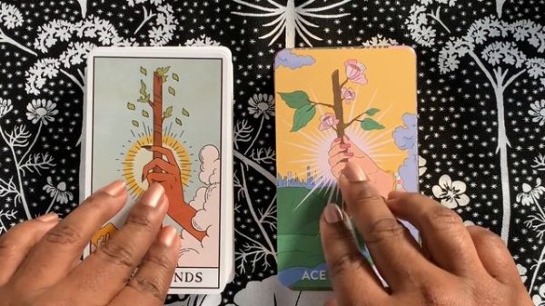 Decisions, Decisions 🤔| Modern Witch Tarot & Neoteric Feminine Tarot (viewer request)