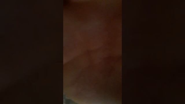 минские муравьи смотреть онлайн