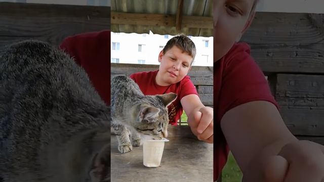 ВидеоРепортаж:Как садится на унитаз смотреть онлайн