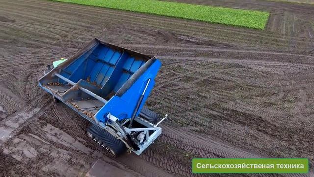 Уборочная машина для сахарной свеклы ROPA & CROP CHASER