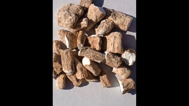 Диоскорея кавказская смотреть онлайн